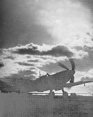 Bild des Verkufers fr Sea Flight: A Fleet Air Arm Pilot's Story: The Wartime Memoirs of a Fleet Air Arm Pilot zum Verkauf von WeBuyBooks