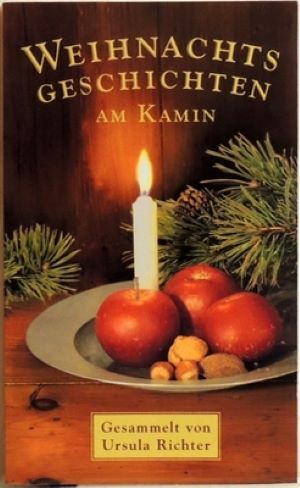 Seller image for Weihnachtsgeschichten am Kamin 22 for sale by Gabis Bcherlager