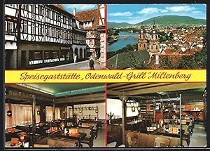 Ansichtskarte Miltenberg, Gasthaus Odenwald-Grill, Totalansicht