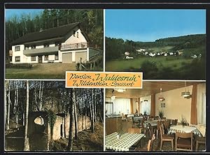 Ansichtskarte Eschau-Wildenstein /Spessart, Pension Waldesruh