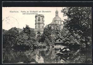 Ansichtskarte Mannheim, Partie im Stadtpark mit Sternwarte und Jesuitenkirche