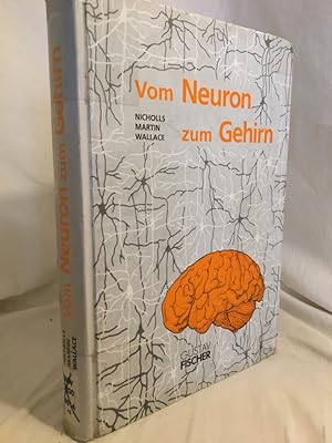 Seller image for Vom Neuron zum Gehirn: Zum Verstndnis der zellulren und molekularen Funktion des Nervensystems. for sale by Versandantiquariat Waffel-Schrder