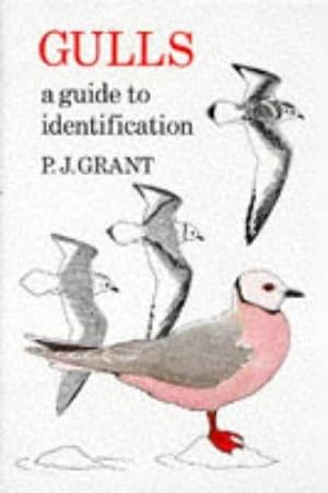 Image du vendeur pour Gulls: A Guide to Identification mis en vente par WeBuyBooks