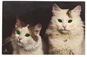 Bild des Verkufers fr Ansichtskarte Katzen mit leuchtenden grnen Augen zum Verkauf von Bartko-Reher