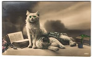 Bild des Verkufers fr Ansichtskarte Katzen mit leuchtenden grnen Augen zum Verkauf von Bartko-Reher