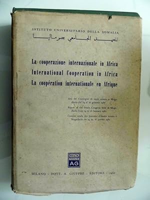 ISTITUTO UNIVERSITARIO DELLA SOMALIA La cooperazione internazionale in Africa