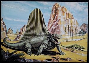 Dimetrodon Postcard