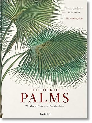 Imagen del vendedor de The Book of Palms / Das Buch der Palmen / Le livre des palmiers a la venta por Redux Books