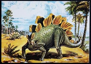 Stegosaurus Postcard