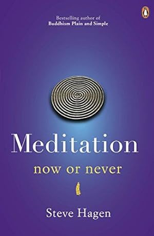 Imagen del vendedor de Meditation Now or Never a la venta por WeBuyBooks 2