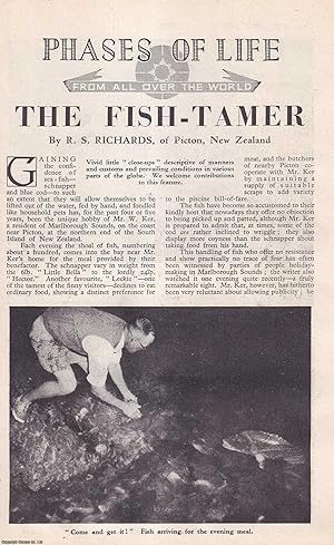 Seller image for The Fish-Tamer : Mr. W. Ker, a resident of Marlborough Sounds, on the Coast near Picton, at the Northern end of the South Island of New Zealand. By R.S. Richards. An uncommon original article from the Wide World Magazine, 1952. for sale by Cosmo Books