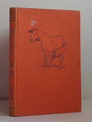 Seller image for Molly, the New Forest Pony for sale by Mad Hatter Books