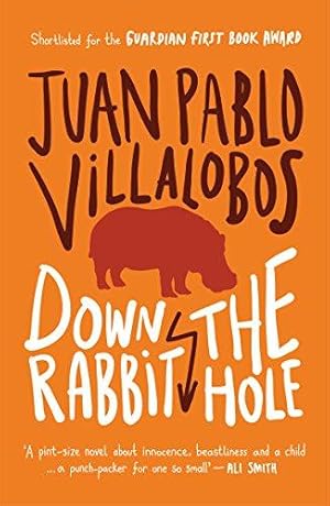Seller image for Down the Rabbit Hole for sale by WeBuyBooks