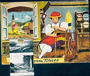 Leporello Ansichtskarte / Postkarte Titisee Neustadt im Breisgau Hochschwarzwald, Feldberg, Hölle...