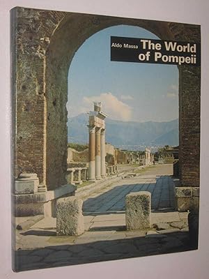 The World of Pompeii