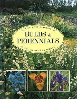 Seller image for An Illustrated Handbook of Bulbs & Perennials for sale by Leura Books