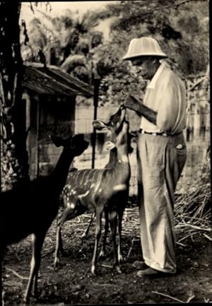 Ansichtskarte / Postkarte Albert Schweitzer bei seinen Antilopen