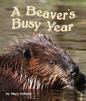 Bild des Verkufers fr The Beavers\ Busy Year zum Verkauf von moluna
