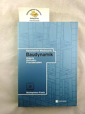 Image du vendeur pour Baudynamik; Modelle, Methoden, Praxisbeispiele. mis en vente par Chiemgauer Internet Antiquariat GbR