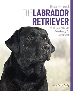 Seller image for Labrador Retriever Best of Breed for sale by WeBuyBooks 2