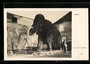 Seller image for Ansichtskarte Mamut, Rekonstruktion eines ausgewachsenens Mammuts for sale by Bartko-Reher