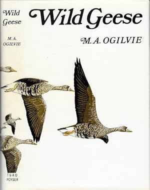 Bild des Verkufers fr Wild Geese zum Verkauf von PEMBERLEY NATURAL HISTORY BOOKS BA, ABA