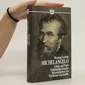 Bild des Verkufers fr Leben & Werk Michelangelos zum Verkauf von Bookbot