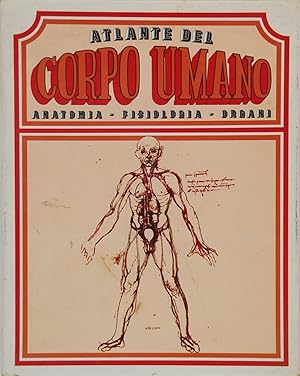 Atlante del corpo umano