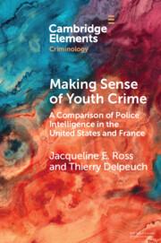 Image du vendeur pour Making Sense of Youth Crime mis en vente par moluna