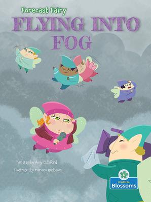 Bild des Verkufers fr Flying Into Fog zum Verkauf von moluna