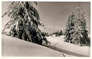 Postkarte Carte Postale 42746964 Schletteralm Panorama Isny im Allgaeu