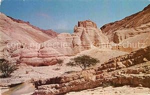 Image du vendeur pour Postkarte Carte Postale 72824007 Israel Zohar Citadel Casa El Suera Israel mis en vente par Versandhandel Boeger