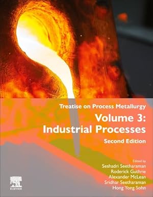 Seller image for Treatise on Process Metallurgy : Industrial Processes for sale by GreatBookPrices