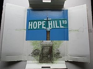 Robert Gober: Hope Hill Road 2012 regular edition for subscribers to Esopus magazine