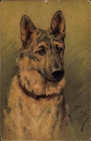 Künstler Ansichtskarte / Postkarte Hundeportrait, Schäferhund