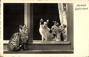 Ansichtskarte / Postkarte Glückwunsch, Zwei Katzen am Fenster, Blumenstrauß