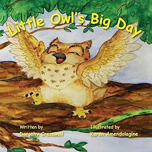 Seller image for Little Owl s Big Day for sale by moluna