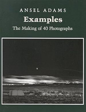 Image du vendeur pour Examples: The Making Of 40 Photographs mis en vente par WeBuyBooks