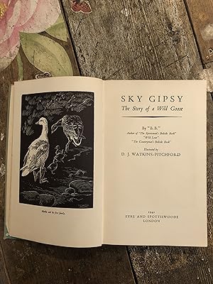 Imagen del vendedor de SKY GIPSY THE STORY OF A WILD GOOSE a la venta por Mrs Middleton's Shop and the Rabbit Hole