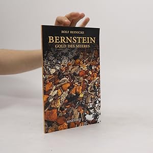 Bild des Verkufers fr Bernstein zum Verkauf von Bookbot