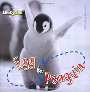 Bild des Verkufers fr Life Cycles: Egg to Penguin zum Verkauf von WeBuyBooks