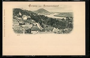 Ansichtskarte Donaustauf, Ortspartie