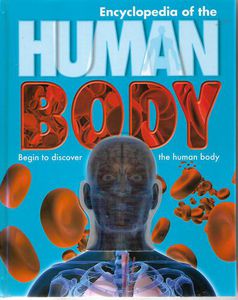 Seller image for Encyclopedia of the Human Body - Begin To Discover the Human Body for sale by Book Haven