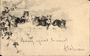 Litho Junge Katzen, Katzenbabys, Mauer, Laubblätter