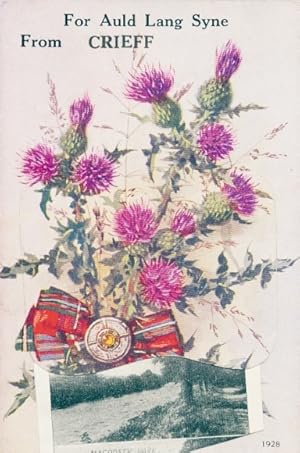 Leporello Ansichtskarte / Postkarte Crieff Schottland, Macrosty-Park, Lady Mary's-Walk, Sma Glen