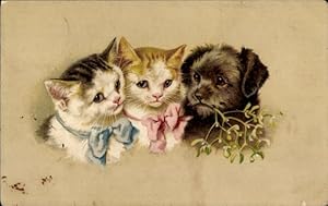 Ansichtskarte / Postkarte Kätzchen und Hund mit Mistelzweig im Maul