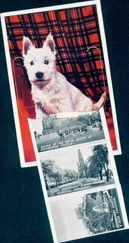Leporello Ansichtskarte / Postkarte Edinburgh Schottland, Scott-Monument, Schloss, Ross-Brunnen, ...