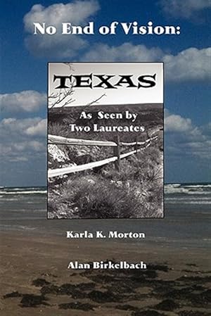 Imagen del vendedor de No End of Vision a la venta por GreatBookPrices