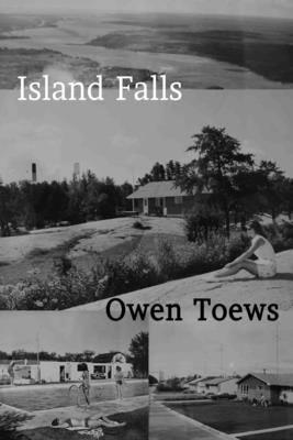 Seller image for Island Falls (Paperback or Softback) for sale by BargainBookStores