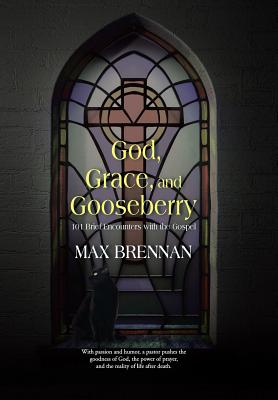 Imagen del vendedor de God, Grace, and Gooseberry: 101 Brief Encounters with the Gospel (Hardback or Cased Book) a la venta por BargainBookStores